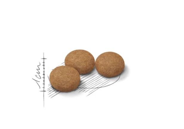 Сухой корм для кошек Royal Canin Ageing +12