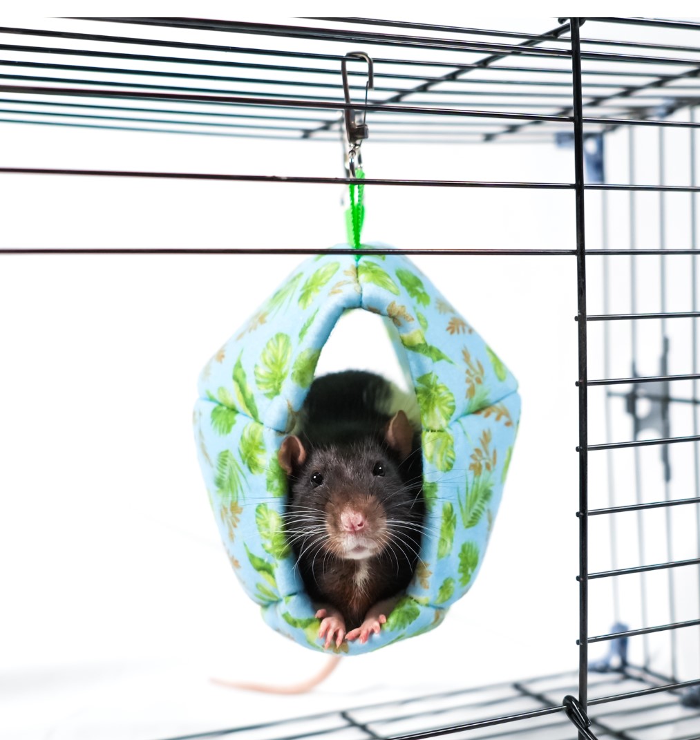 Гамак подвесной для грызунов Bambini Pets Мяч регби