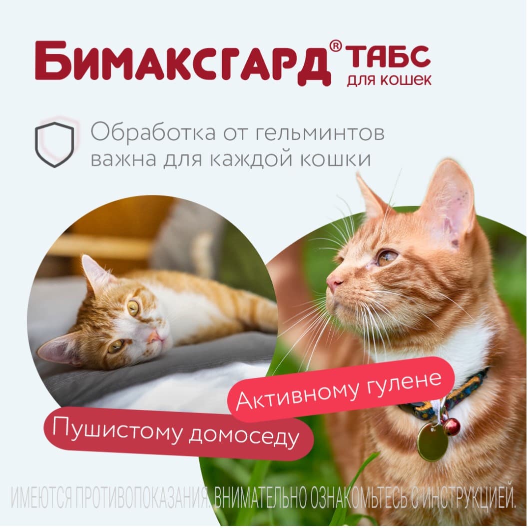 Антигельминтный препарат Бимаксгард ТАБС для котят и кошек мелких пород
