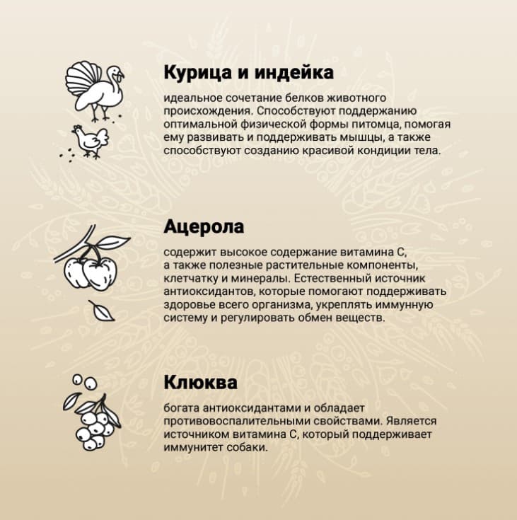 Пища для щенков CRAFTIA NATURA Puppy Medium&Large (курица, индейка)