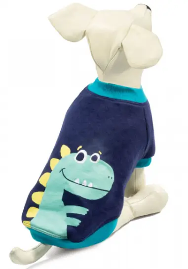 Толстовка "Dino"