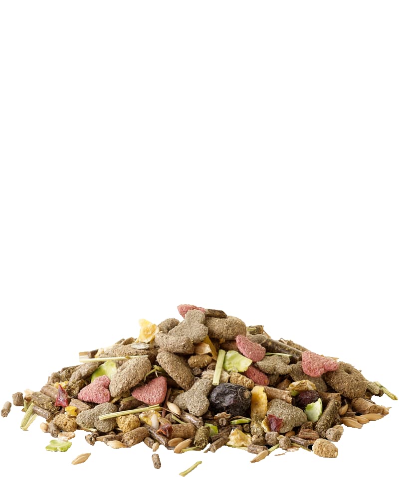 Crispy Muesli Guinea Pigs для морских свинок