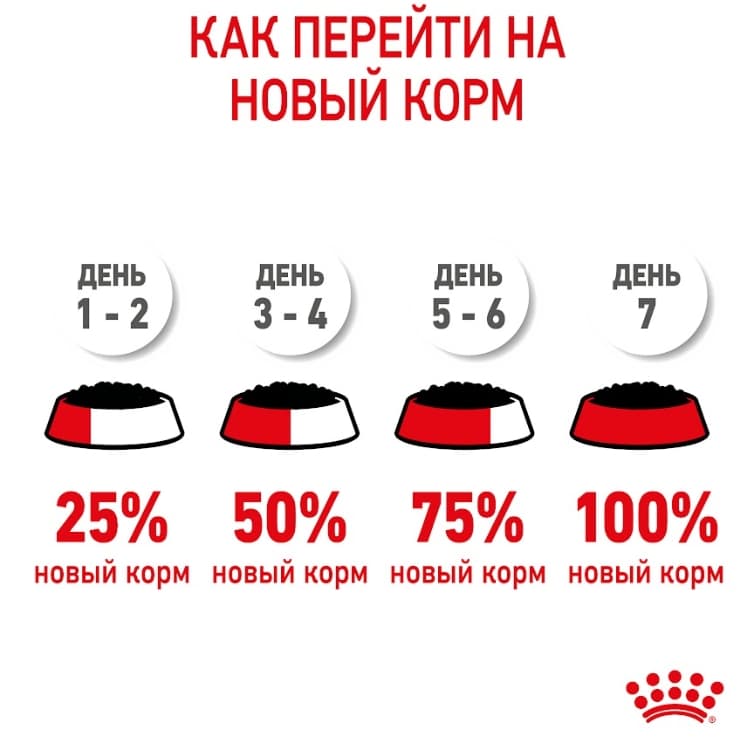 Влажный корм для котят Royal Canin Kitten Sterilized (в желе)
