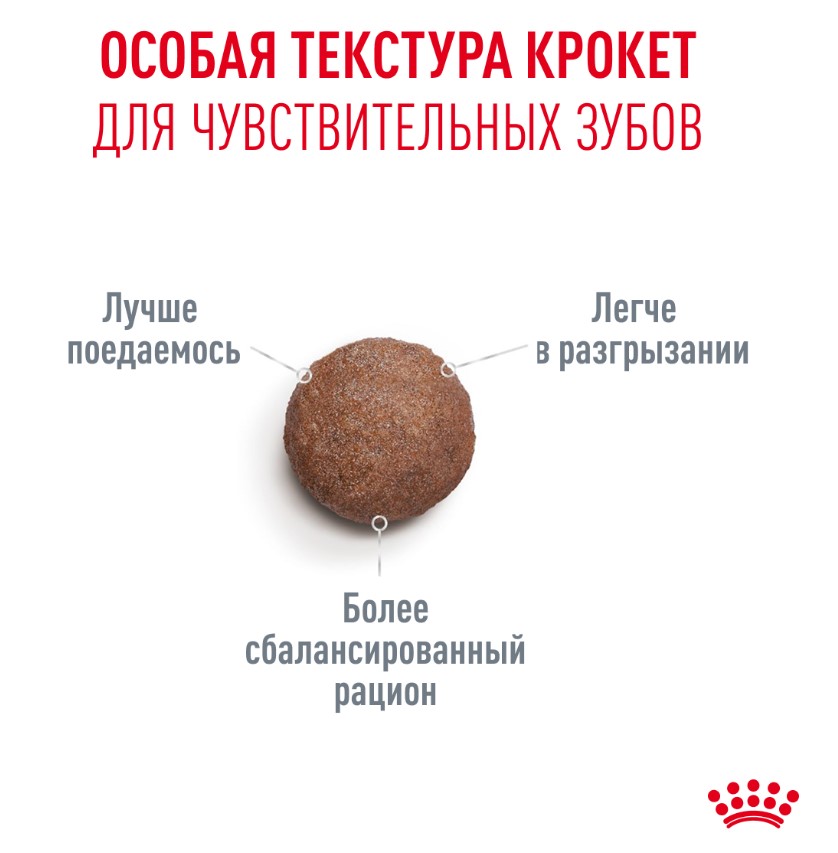 Сухой корм для пожилых кошек Royal Canin Ageing 11+