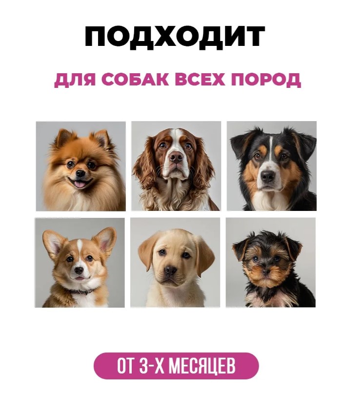Шампунь-кондиционер для собак с длинной шерстью "Spets"