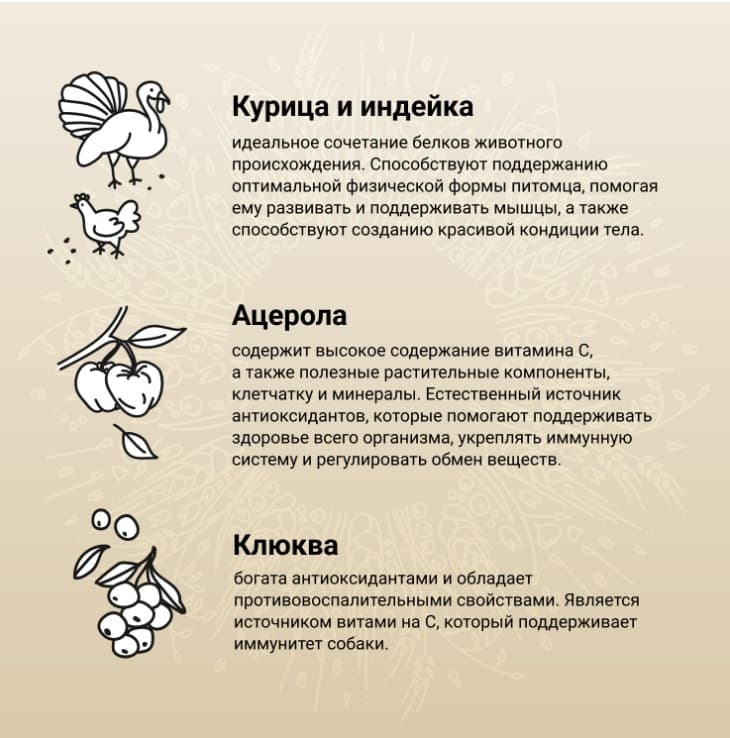 Еда для собак CRAFTIA NATURA Adult Medium&Large (курица, индейка)