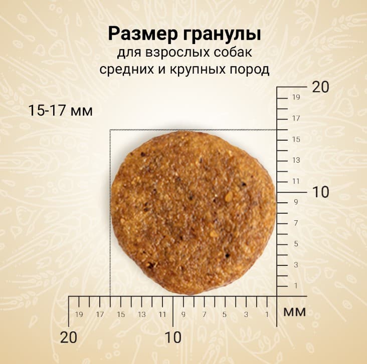 Питание для собак CRAFTIA NATURA Adult Medium&Large (лосось, сельдь)