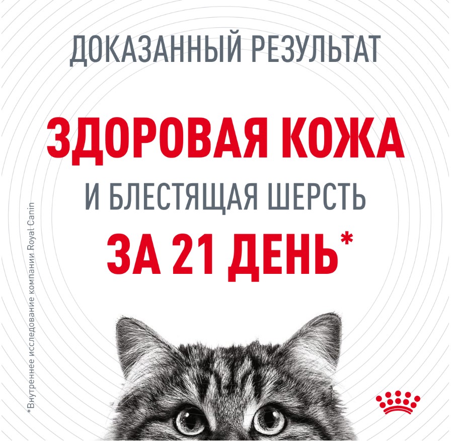 Влажный корм для кошек Royal Canin Hair & Skin Care (в желе)