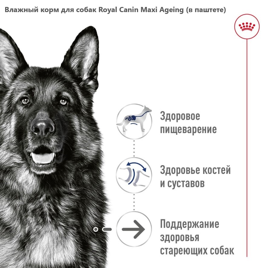 Влажный корм для собак Royal Canin Maxi Ageing (в паштете)