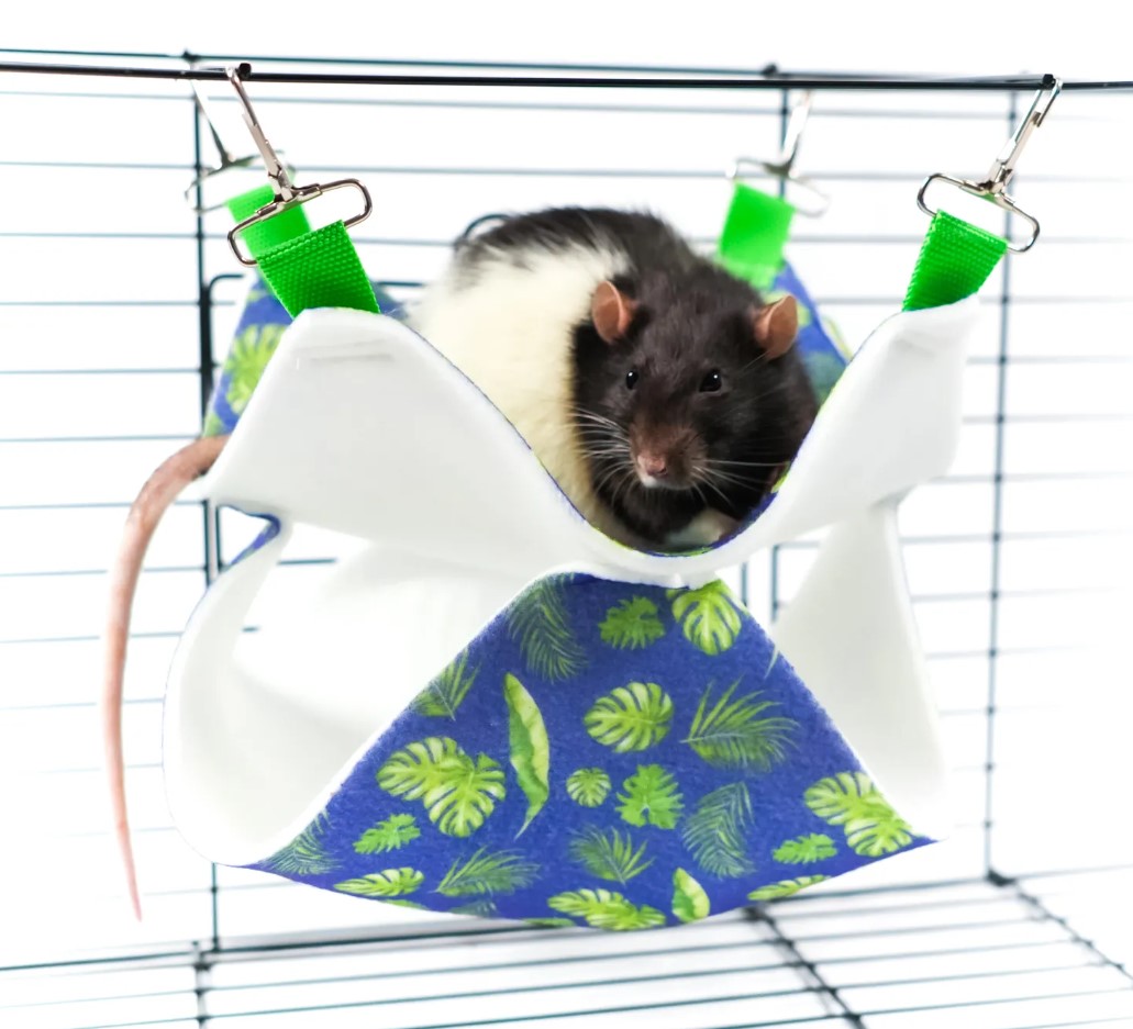 Гамак подвесной для грызунов и хорьков Bambini Pets Двухуровневый
