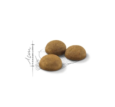 Royal Canin Indoor Long Hair полнорационный корм для кота живущего в помещении