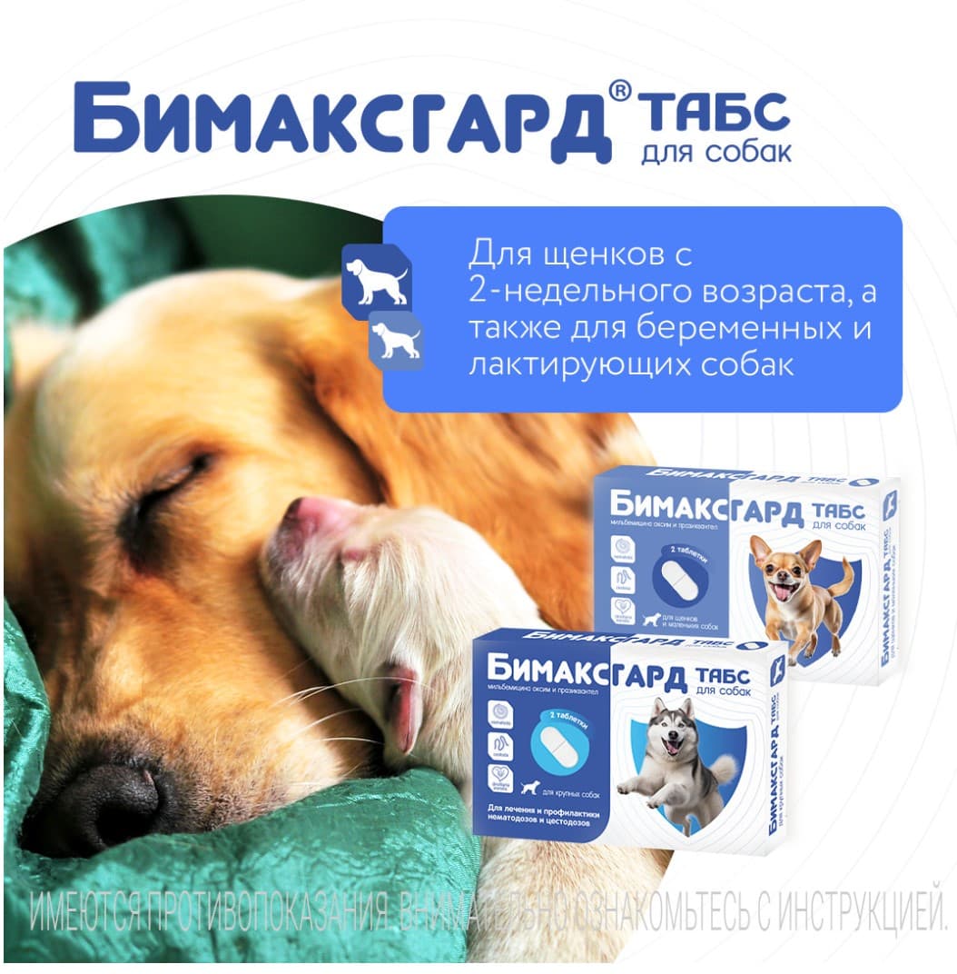 Антигельминтный препарат Бимаксгард ТАБС для собак крупных пород