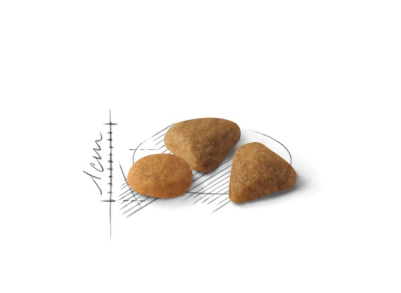 Сухой корм для кошек Royal Canin Savour Exigent