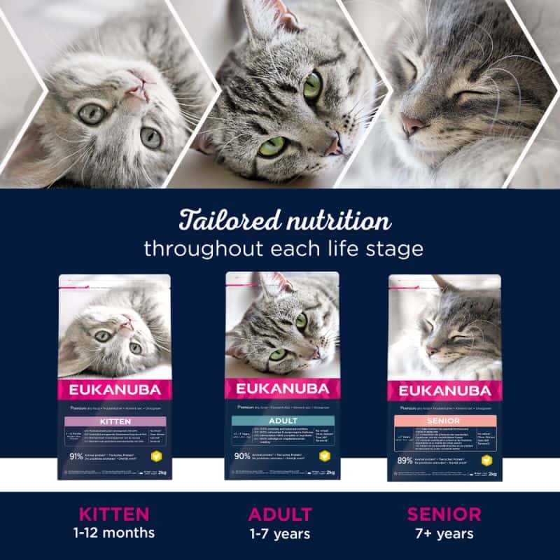 Рацион для котят Сухой корм для кошек Eukanuba Kitten Healthy Start (курица)