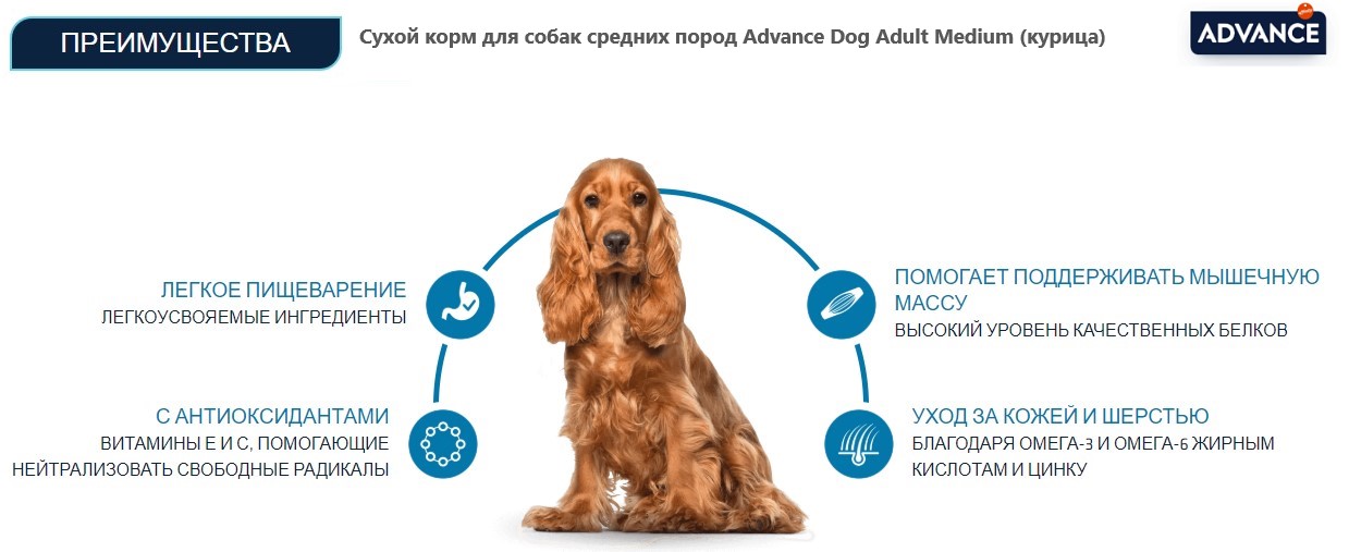 Пища для собак средних пород Сухой корм для собак средних пород Advance Dog Adult Medium (курица)