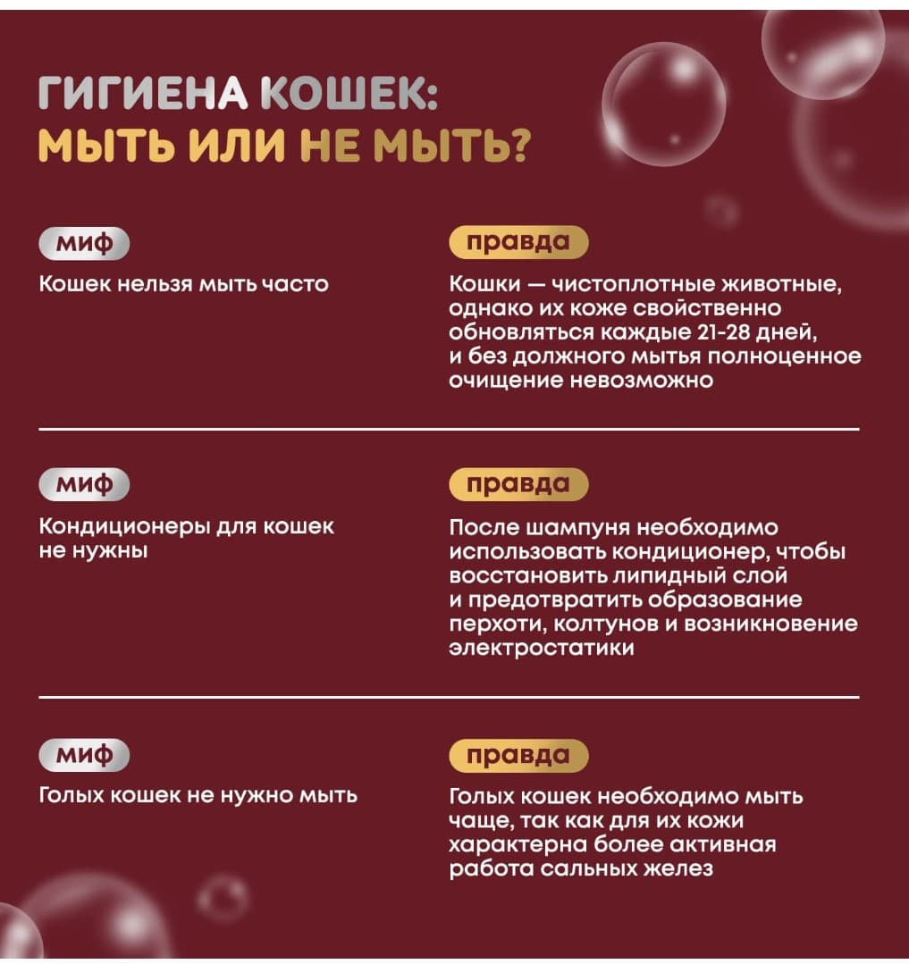 Восстанавливающий шампунь для любого типа шерсти для кошек ISB Just for cats Keratin для кошек