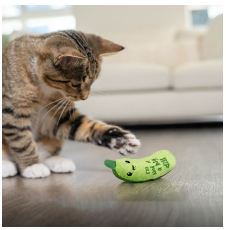 Игрушка для кошек Catstages Dental Огурец Крутыш с кошачьей мятой
