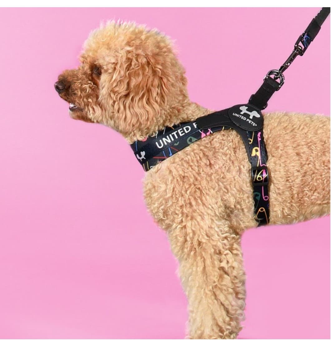 Шлейка для собак United Pets Complete me черный с разноцветными