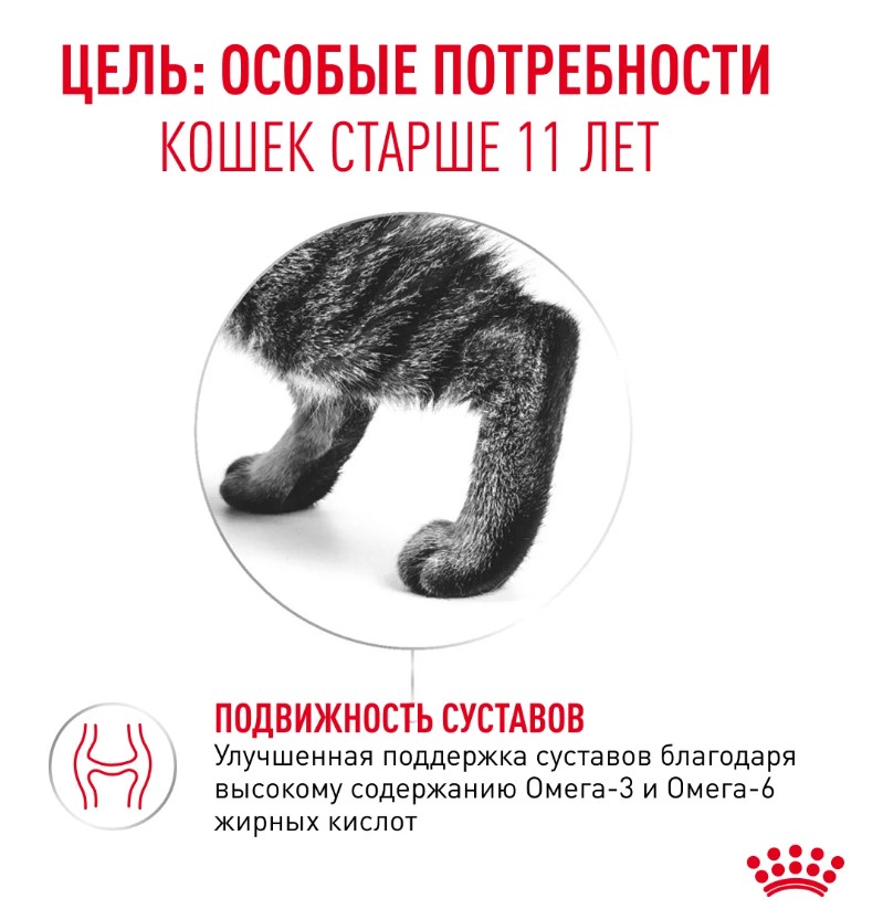 Влажный корм для пожилых кошек Royal Canin Ageing 11+ (кусочки в соусе)
