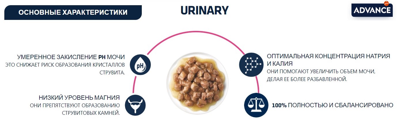 Влажный корм для кошек Advance Diets Urinary Adult Cat