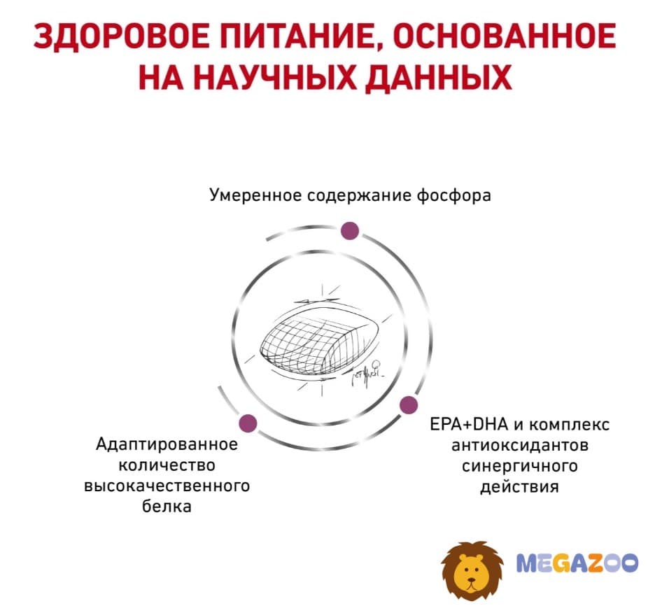 Еда для собак Сухой корм для собак Royal Canin Early Renal Dog