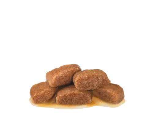 Влажный корм для кошек Royal Canin Gastro Intestinal