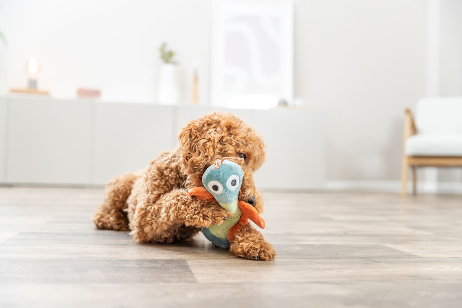 Игрушка для собак TRIXIE "Бабочка" плюш