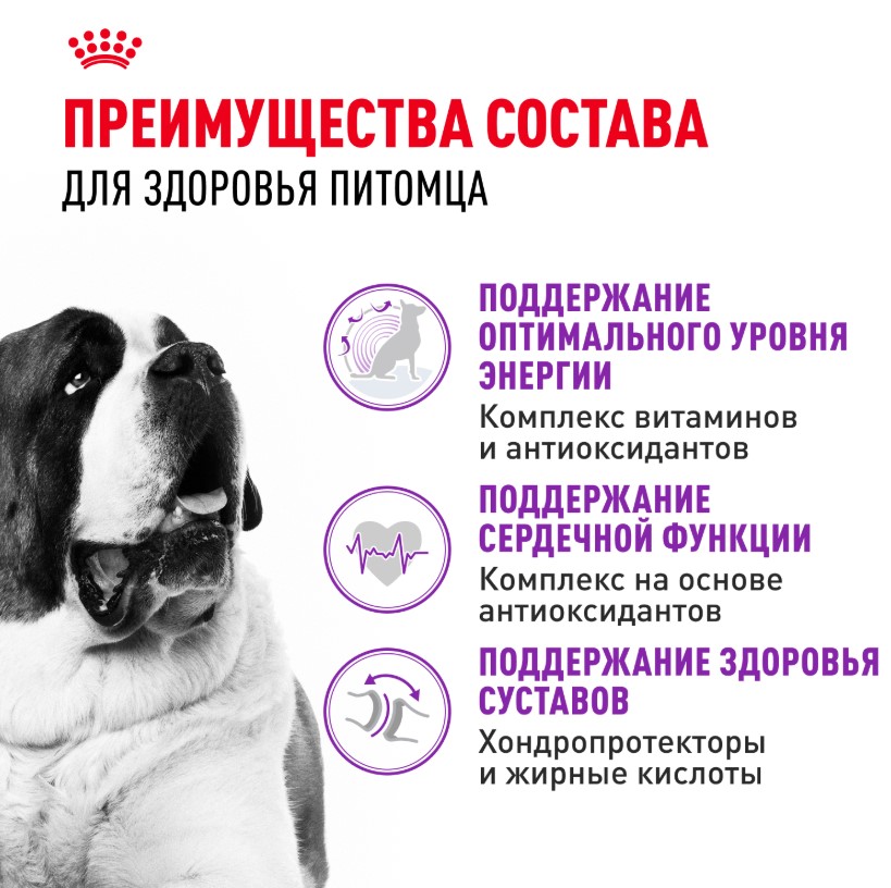 Сухой корм для собак Royal Canin Giant Adult