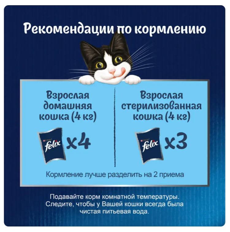 Влажный корм для кошек Felix Аппетитные кусочки (курица в желе)