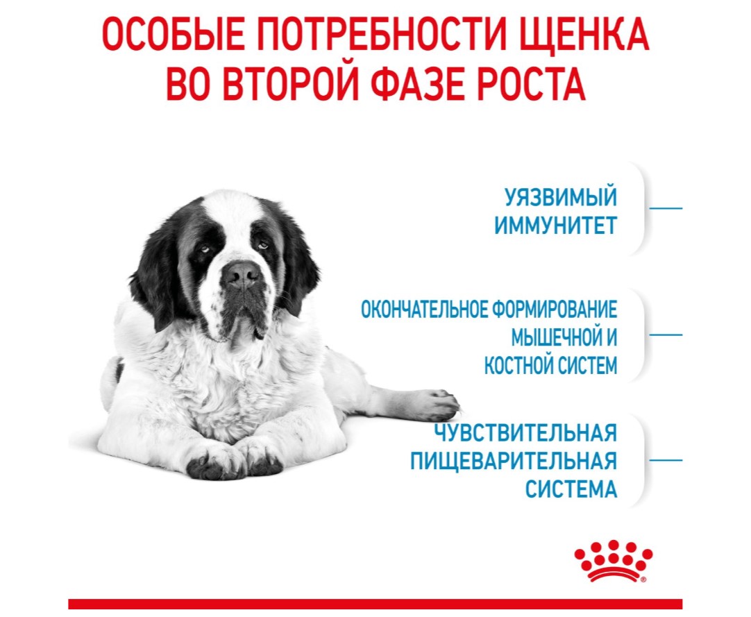 Каталог Сухой корм для щенков крупных пород Royal Canin Giant Junior Active для собак