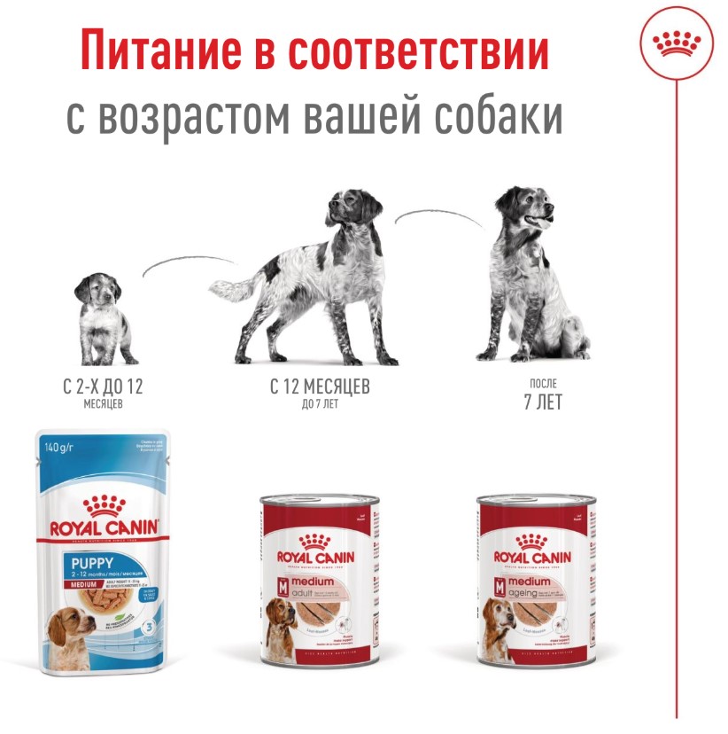 Влажный корм для собак Royal Canin Medium Adult (в паштете)
