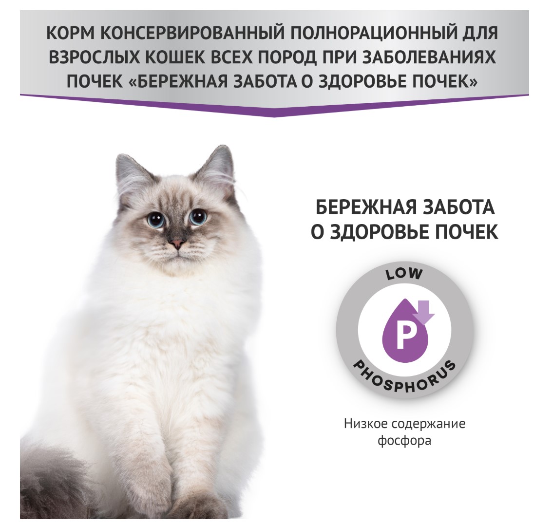 Мираторг Влажный корм для кошек при заболеваниях почек Expert Renal