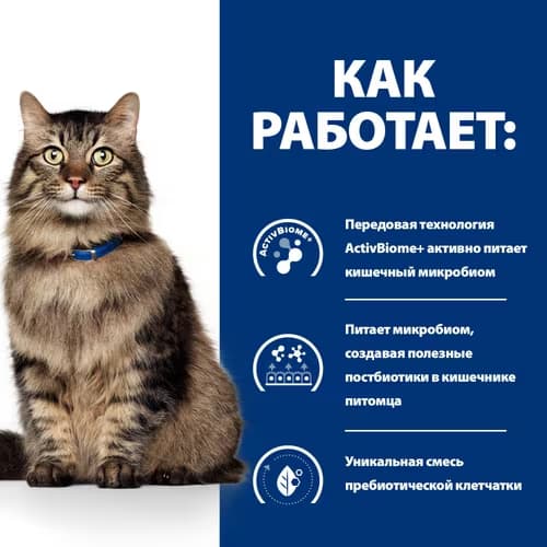 Еда для кошек при плохом пищеварении Сухой корм для кошек Hill's Prescription Diet Gastrointestinal Biome (курица)