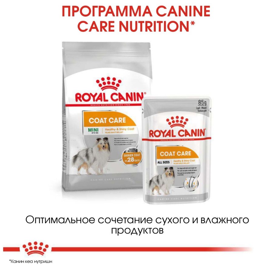 Каталог Сухой корм для собак Royal Canin Mini Coat Care для собак