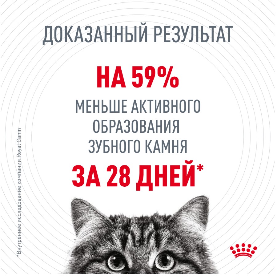 Сухой корм для кошек Royal Canin Dental Care Cat