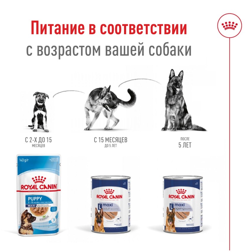 Влажный корм для собак Royal Canin Maxi Ageing (в паштете)
