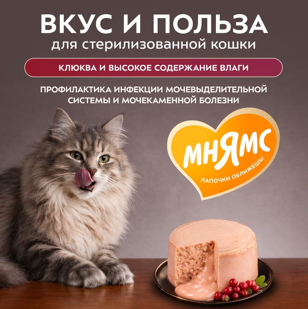 Влажный корм для стерилизованных кошек Мнямс Деликатес Фондан Adult Cat (курица, клюква)