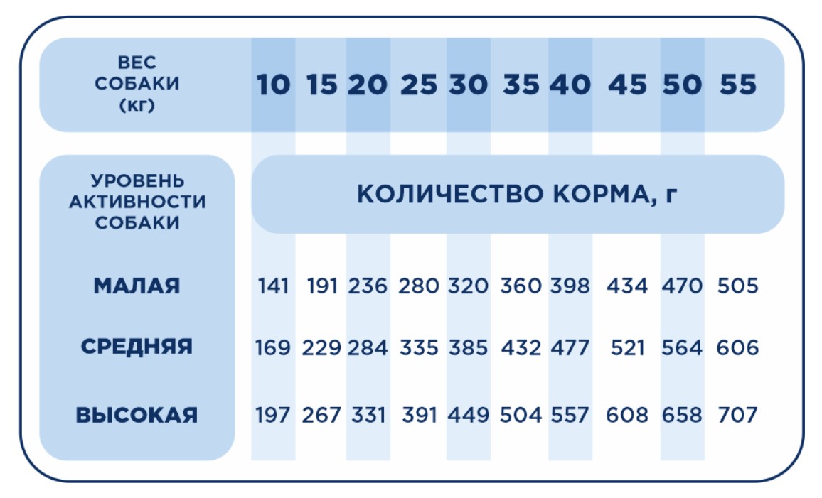 Каталог Сухой корм для собак средних и крупных пород Pet's Brunch Premium Active Adult Medium & Maxi Breeds для собак