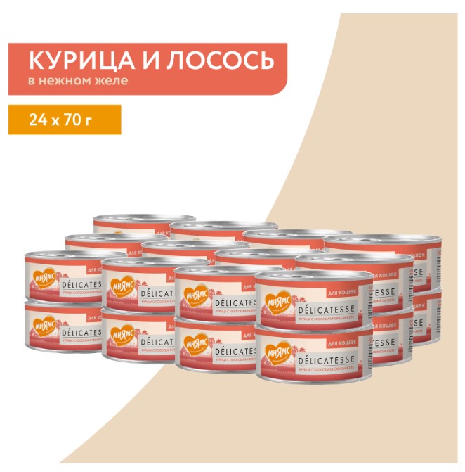 Влажный дополнительный корм Мнямс для кошек Курица с лососем в нежном желе