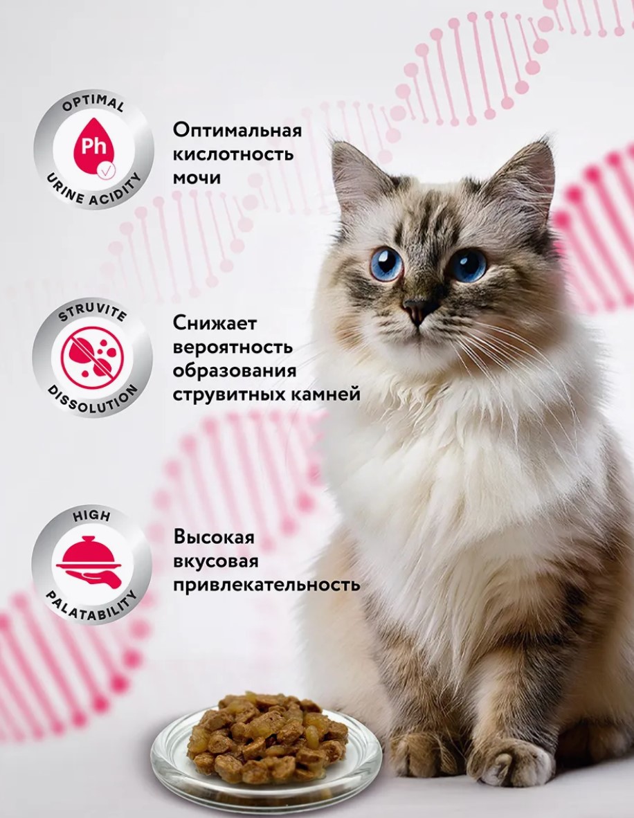 Мираторг Влажный корм для кошек при мочекаменной болезни струвитного типа Expert Struvite