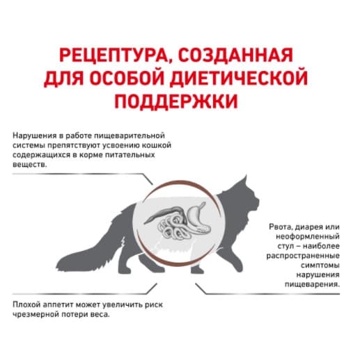 Сухой корм для кошек Royal Canin GastroIntestinal GI32 полнорационный корм для поддержания здорового пищеварения у кота 