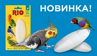 Кость сипии, кальций для птиц