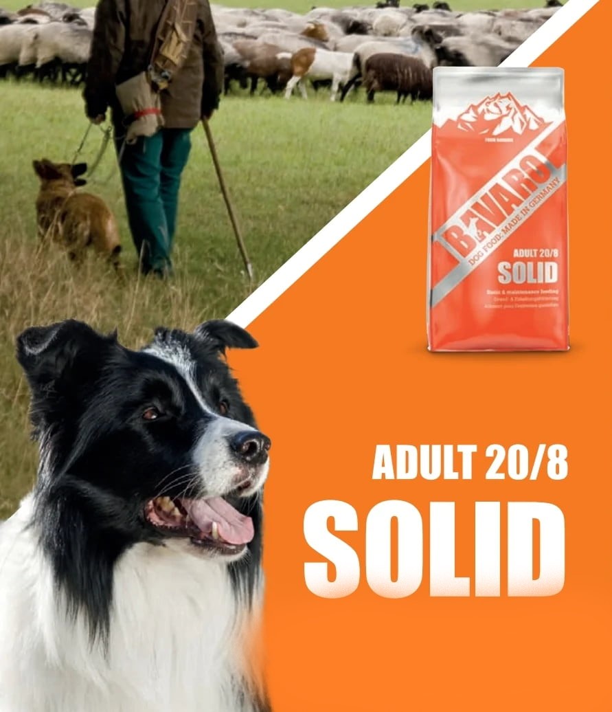 Каталог Сухой корм для собак Josera Bavaro Solid (пожилые/малоактивные) для собак