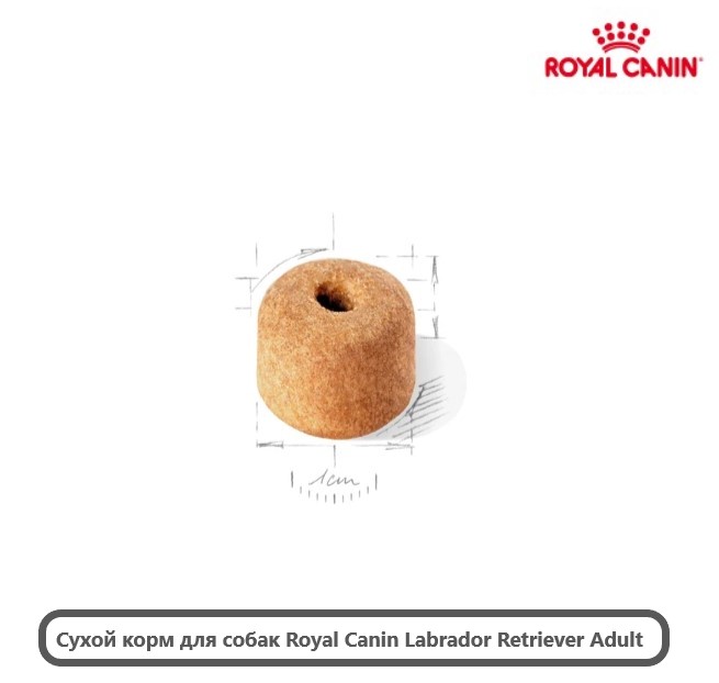 Каталог Сухой корм для собак Royal Canin Labrador Retriever Adult для собак
