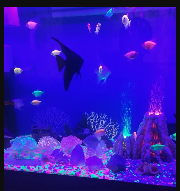 Гравий для аквариума GloFish 2.26 кг