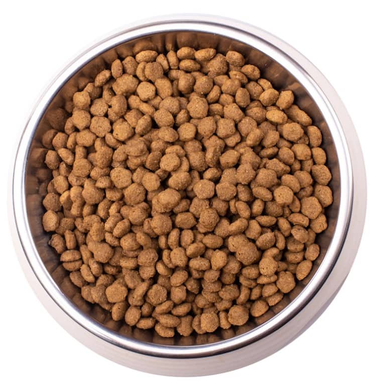 Диетический корм для кошек Monge VetSolution Obesity Cat