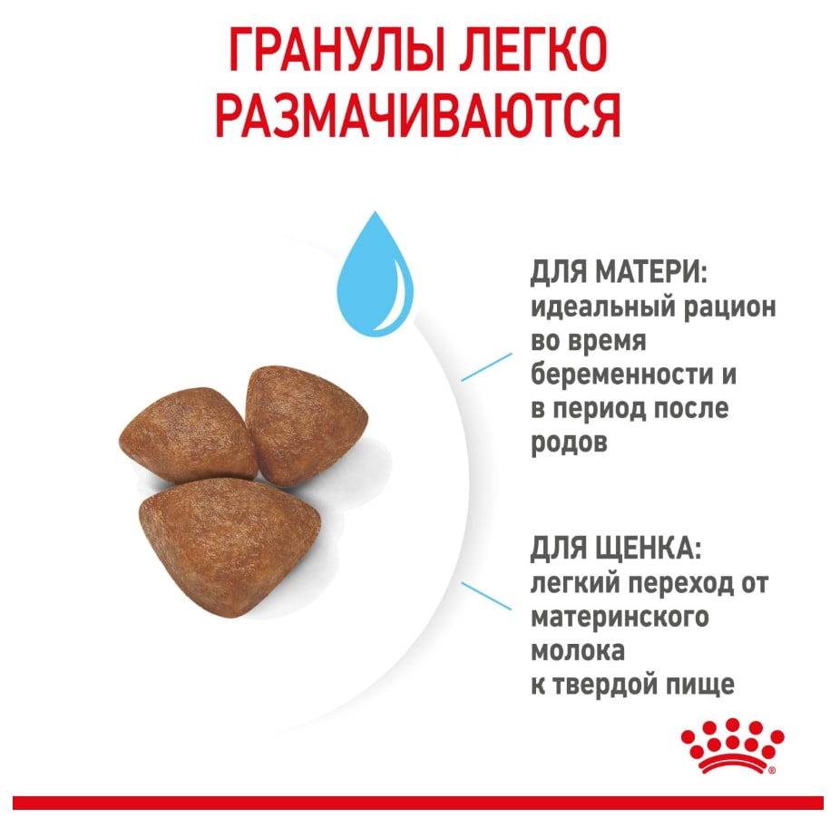 Каталог Сухой корм для щенков Royal Canin Mini Starter для собак