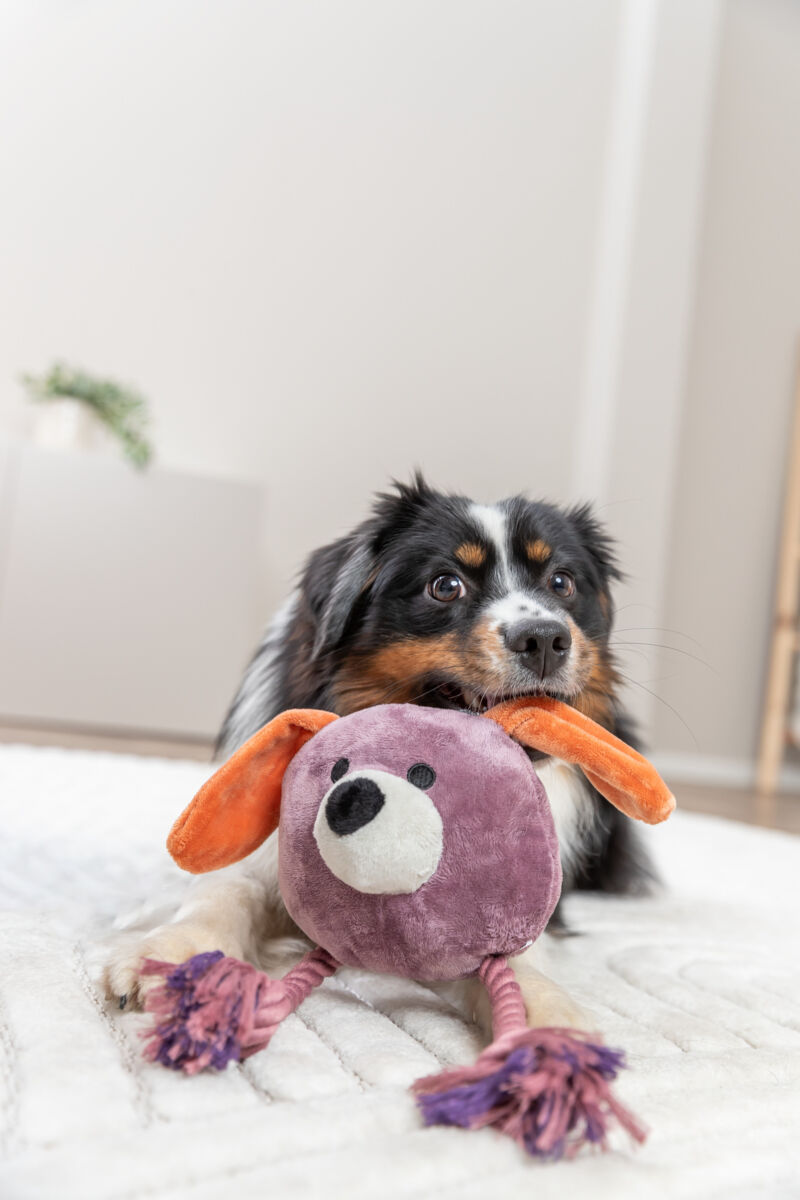 Игрушка для собак TRIXIE "Собачка с веревкой" плюш