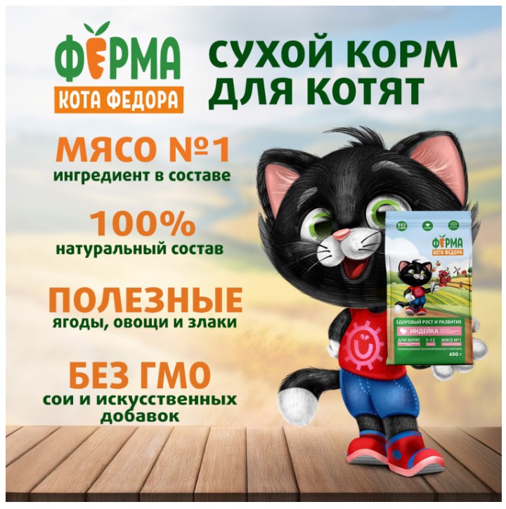 Сухой корм для котят от 1 месяца, беременных и кормящих кошек Ферма кота Федора с индейкой