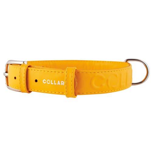Ошейник с объёмной надписью "CoLLaR Glamour"